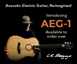 LR Baggs AEG-1