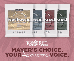 Ernie Ball Earthwood Bell Bronze Stings