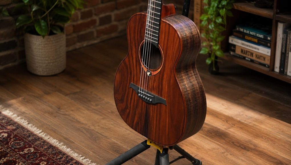 Lag Guitars Sauvage TE Review