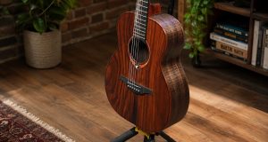 Lag Guitars Sauvage TE Review